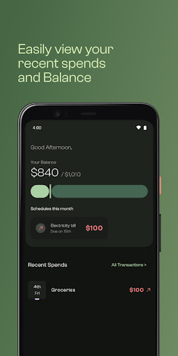 Screenshot: Easily view your recent spends and balance